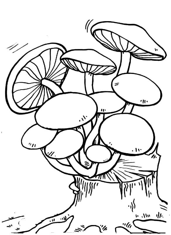 Пенек с грибами раскраска для детей003