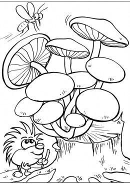 Пенек с грибами раскраска для детей005