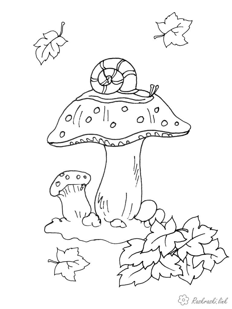 Пенек с грибами раскраска для детей006