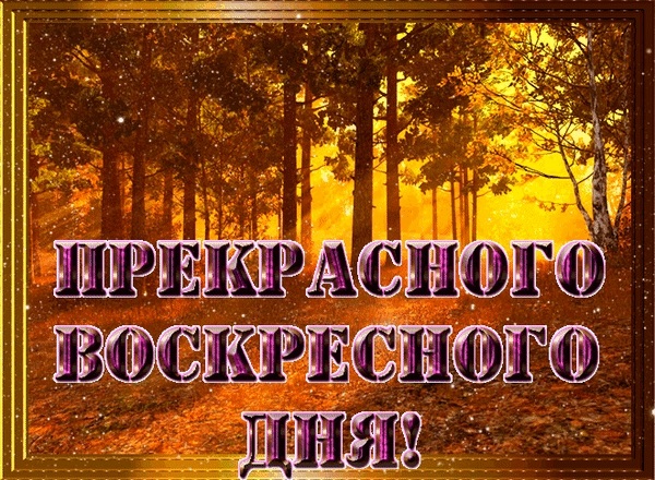 Прекрасного осеннего воскресенья   лучшие фото006