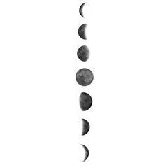 Удивительные картинки все фазы луны (21)