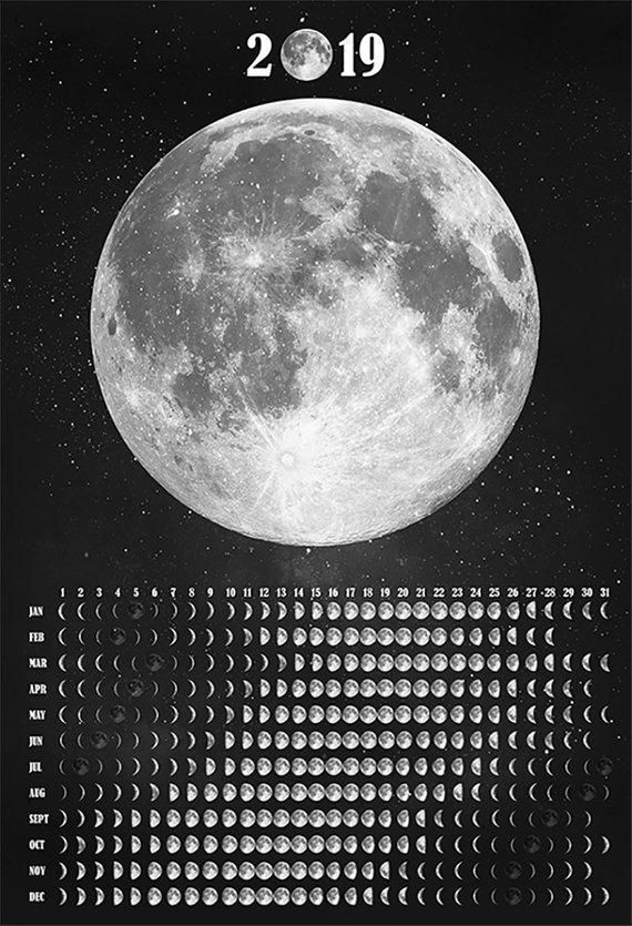 Удивительные картинки все фазы луны (28)