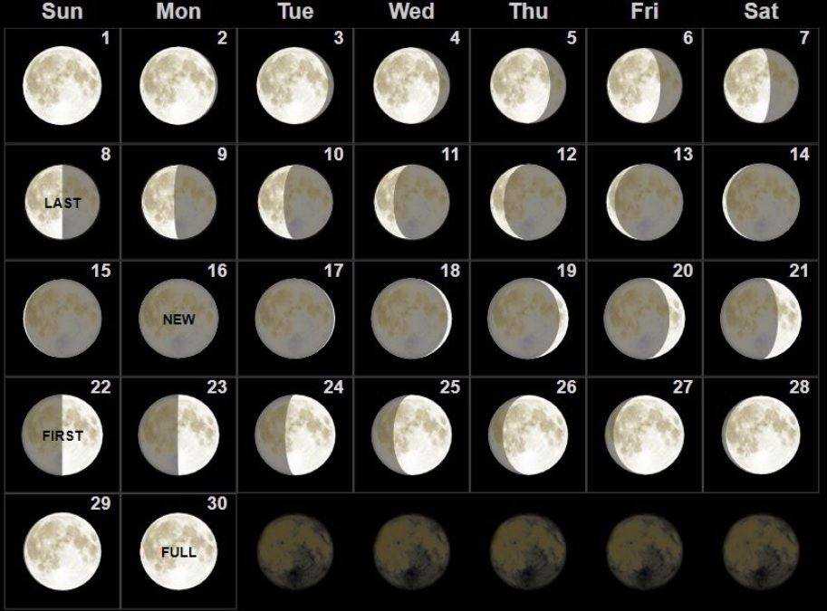 Удивительные картинки все фазы луны (4)