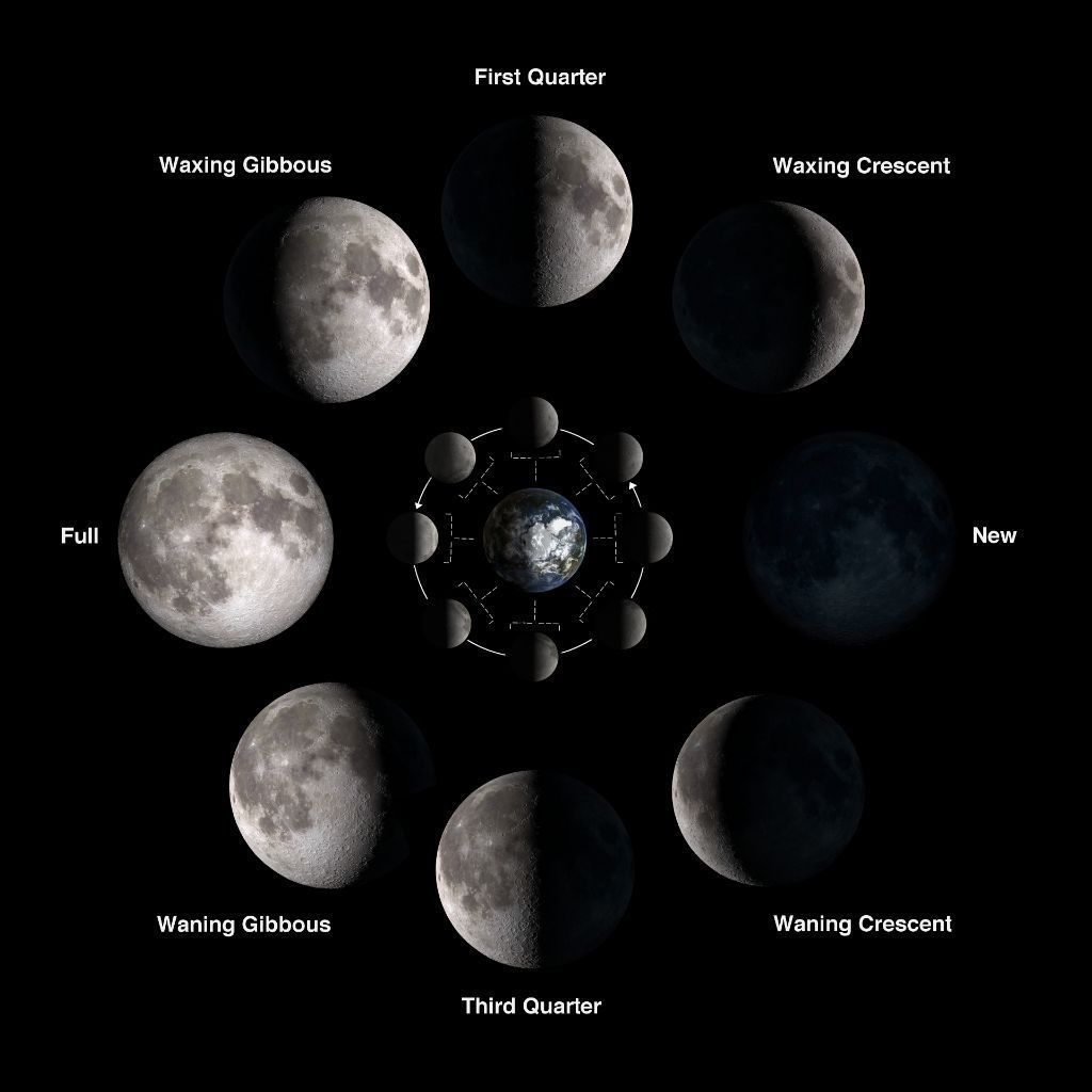Удивительные картинки все фазы луны (6)
