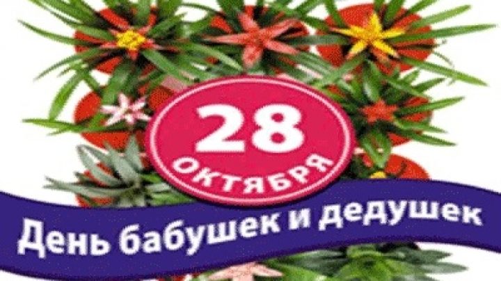 День бабушек и дедушек в 2023 какого. 28 Октября день бабушек и дедушек. Открытки с днём бабушек и дедушек 28 октября. 28 Октября день бабушек и дедушек поздравления. Надпись с днем бабушек и дедушек.