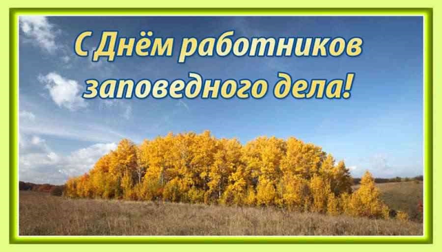 День работников заповедного дела в 2025 году: какого числа, дата и история празд