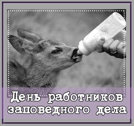 Картинки на День работников заповедного дела в России004