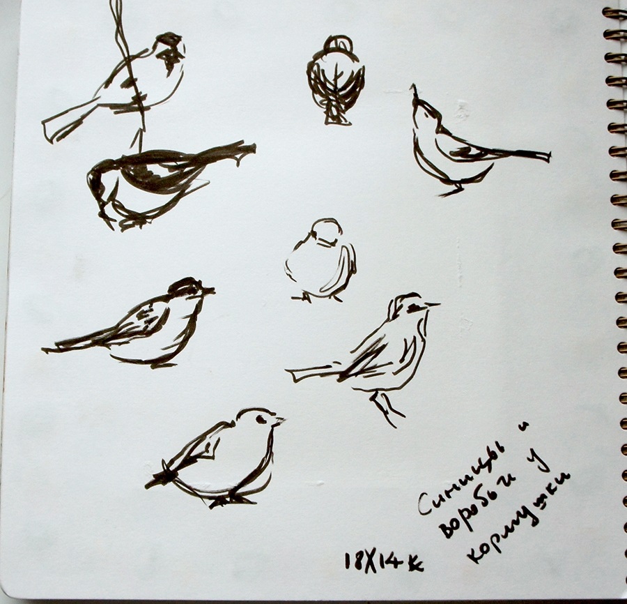 Наброски и зарисовки животных и птиц022