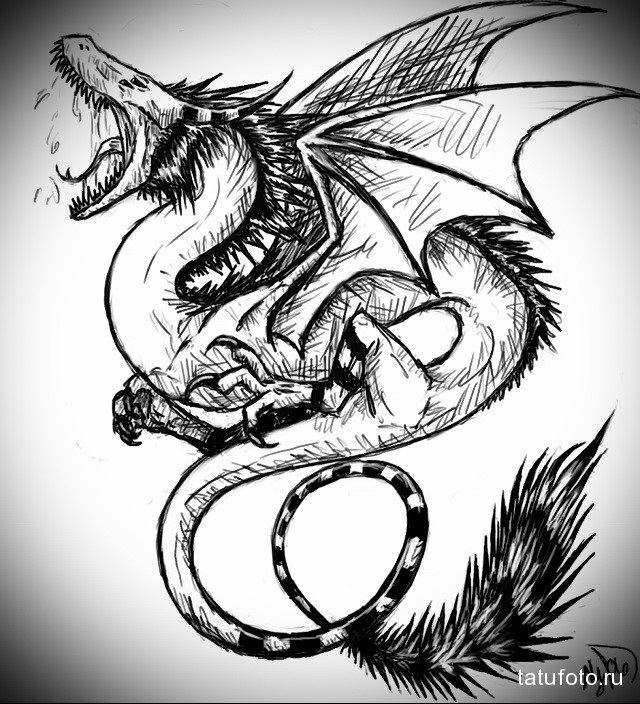 Эскиз дракон с цветами   подборка фото004
