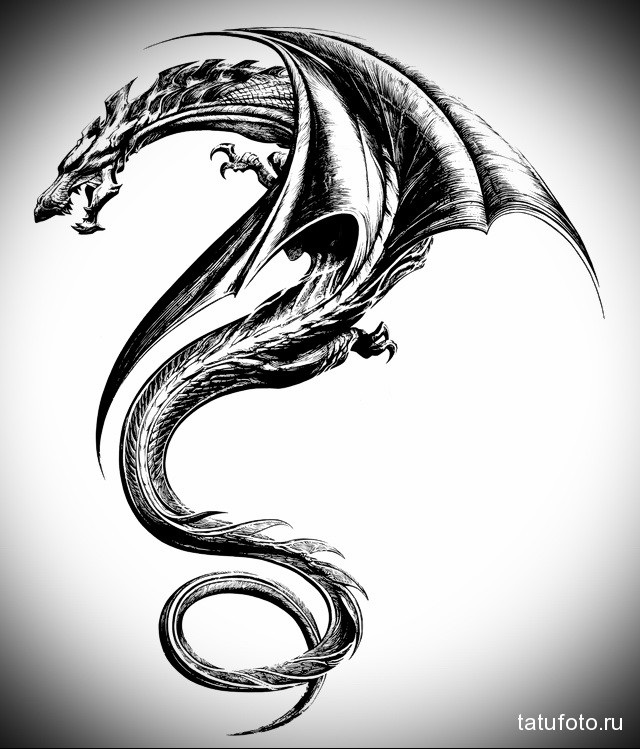 Эскиз дракон с цветами - подборка фото005