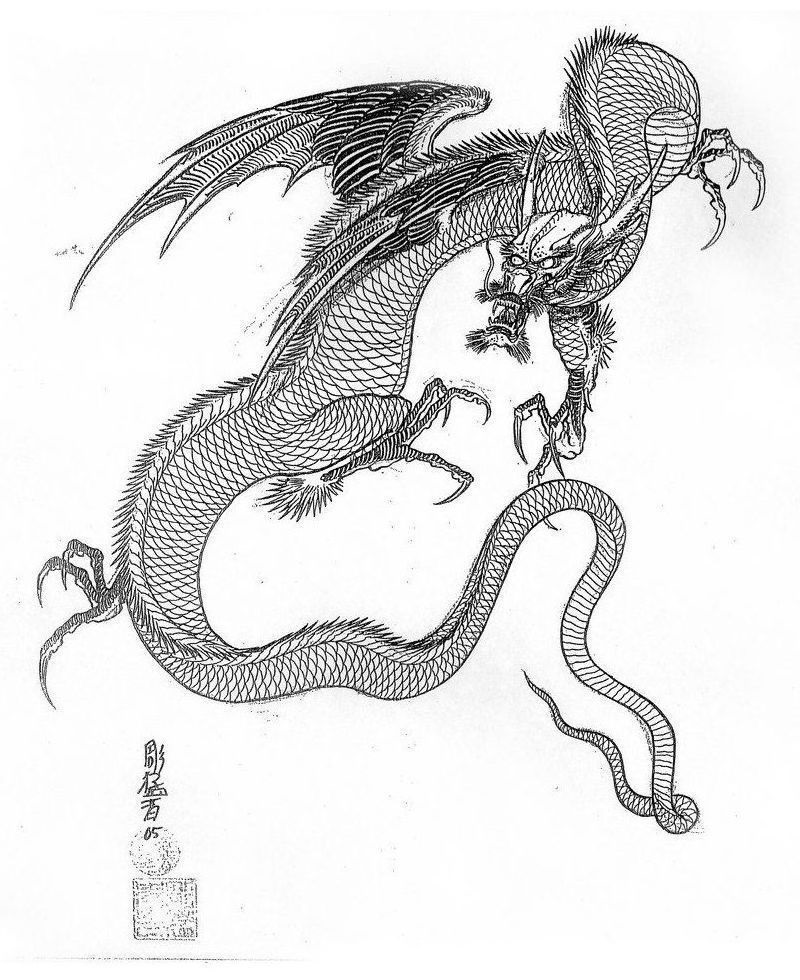 Эскиз дракон с цветами - подборка фото022