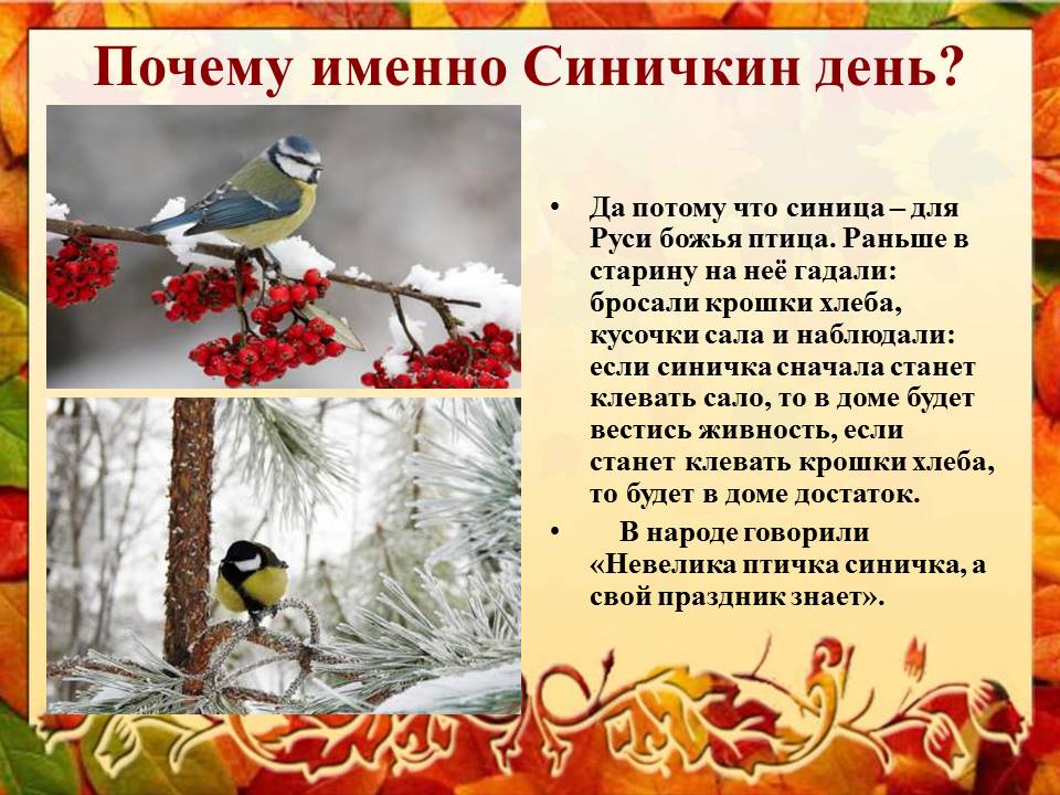 Картинки на праздник Синичкин день (2)
