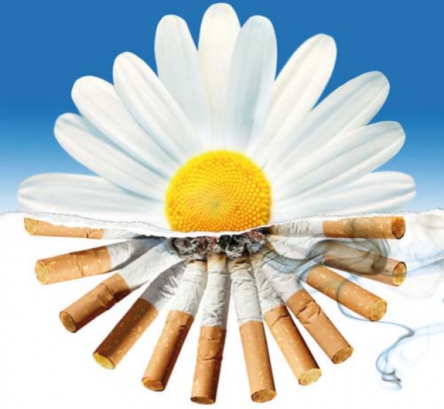 Картинки на праздник день отказа от курения (28)