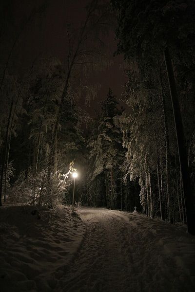 Красивые картинки зимы на заставку телефона (17)