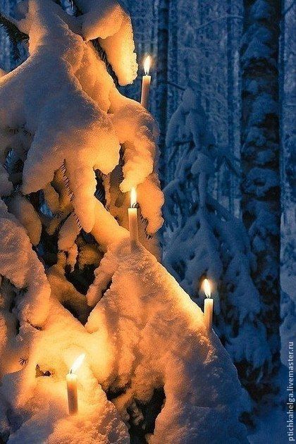 Красивые картинки зимы на заставку телефона (9)