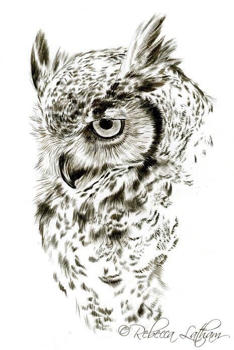 Красивые рисунки совы для срисовки005