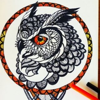 Красивые рисунки совы для срисовки009