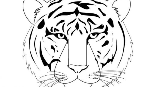 Красивые рисунки тигра для срисовки002