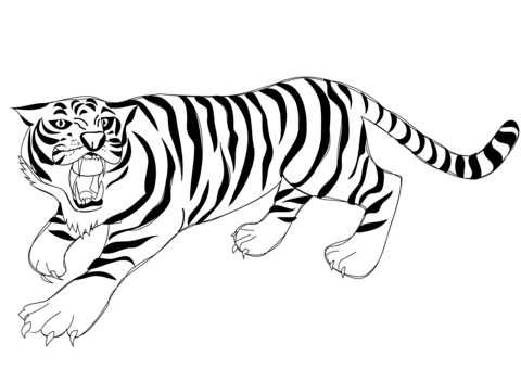 Красивые рисунки тигра для срисовки010