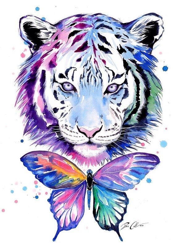 Красивые рисунки тигра для срисовки013