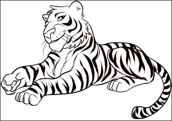 Красивые рисунки тигра для срисовки015