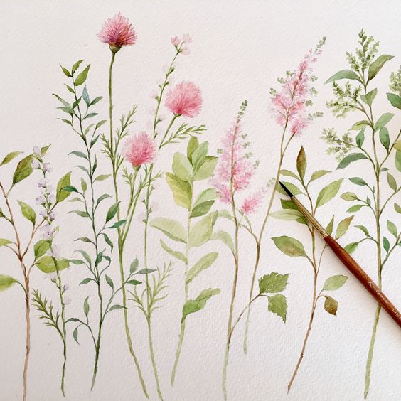 Красивые рисунки цветов для срисовки (15)