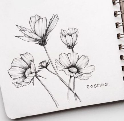 Красивые рисунки цветов для срисовки (6)
