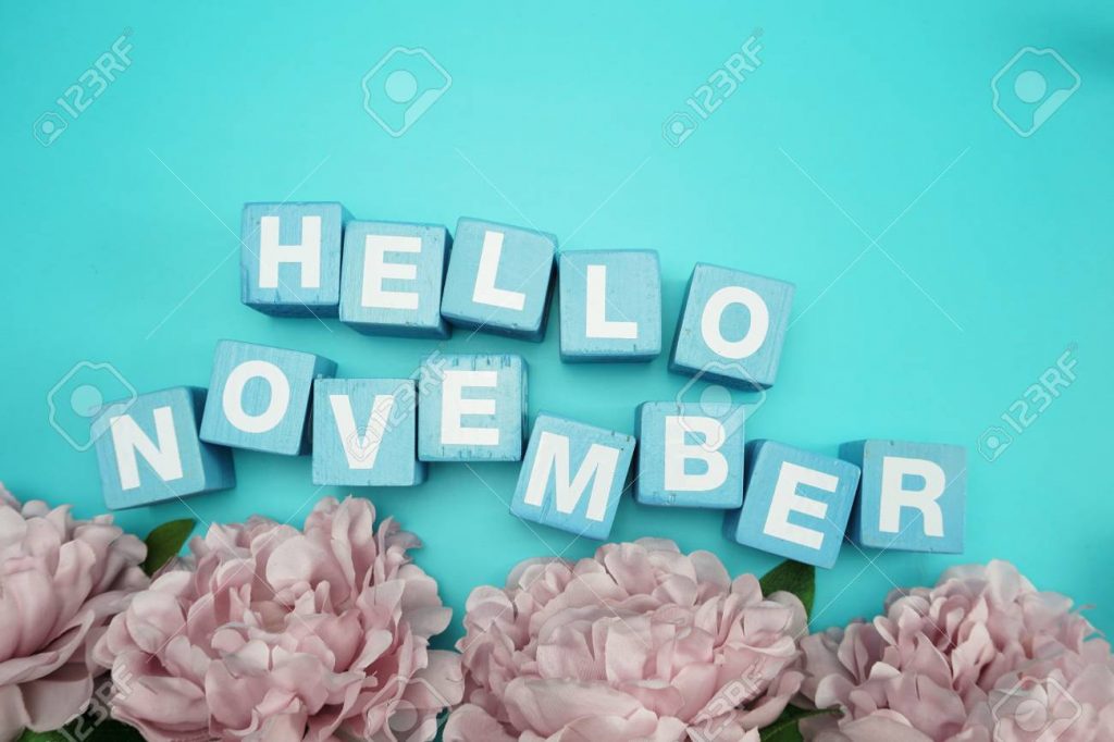 hello november alphabet letters with flower bouquet on blue background