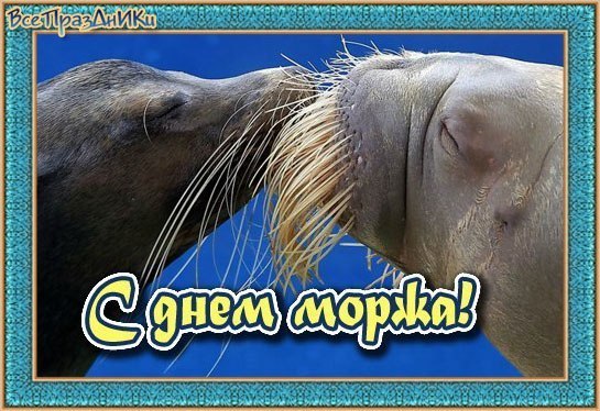 Прикольные картинки на День моржа в России (21)