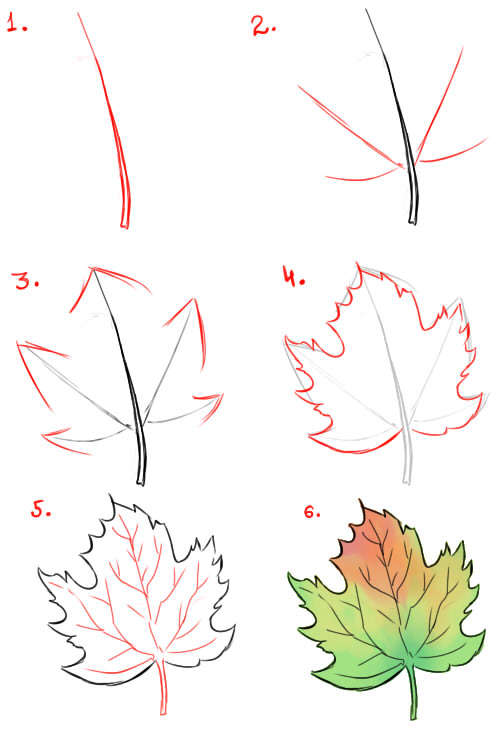 Рисунки как нарисовать осенний лист карандашом (20)