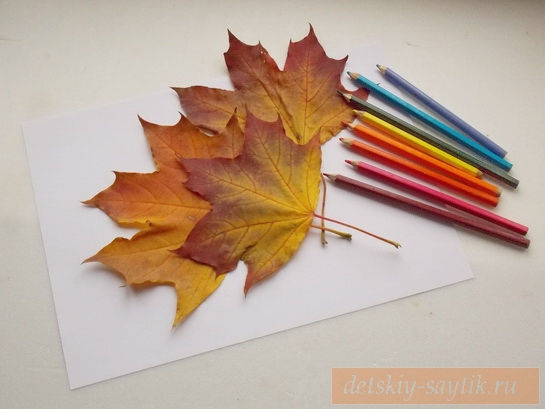 Рисунки как нарисовать осенний лист карандашом (21)