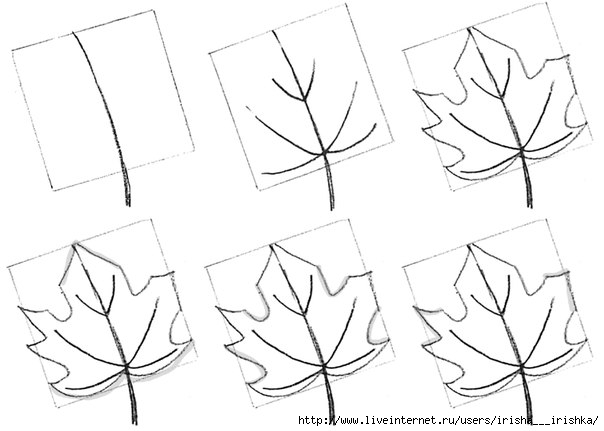 Рисунки как нарисовать осенний лист карандашом (8)