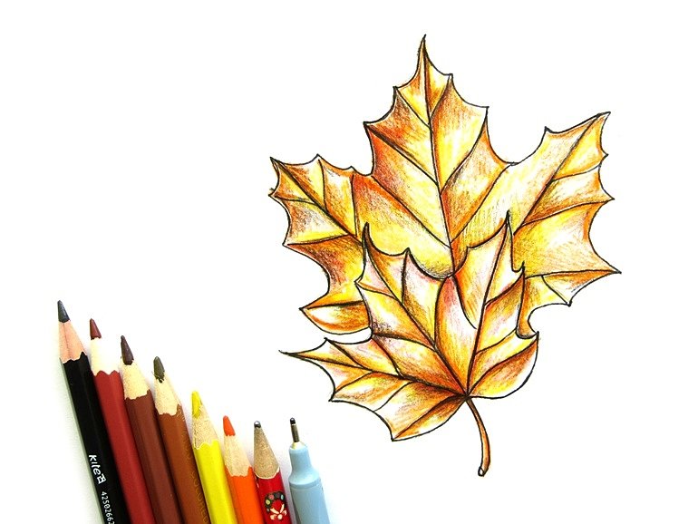 Рисунки как нарисовать осенний лист карандашом (9)