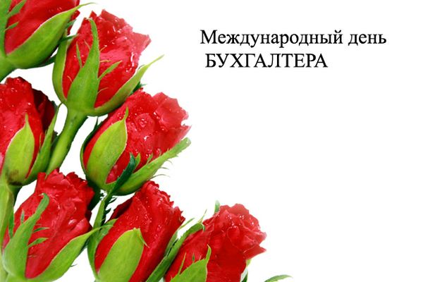 С днем бухгалтера в России открытки красивые - подборка (24)