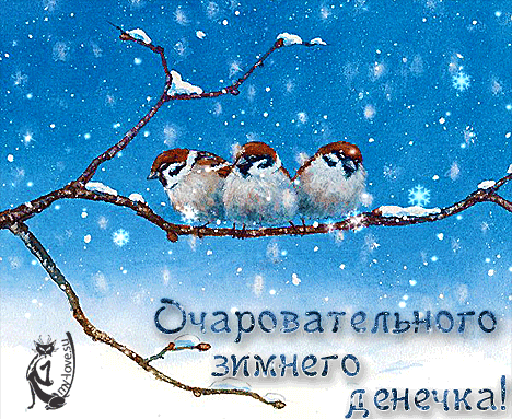Удивительные открытки с теплым добрым зимним утром (2)