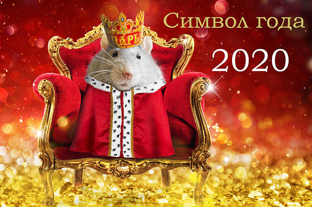 Скоро Новый год 2020   прикольные картинки (1)