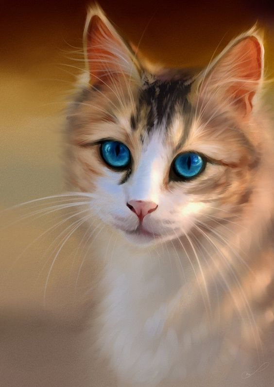 Красивые фотографии глаз кошек в отличном качестве (3)