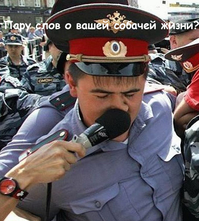 Смешные фото приколы с ментами и полицией - подборка (6)