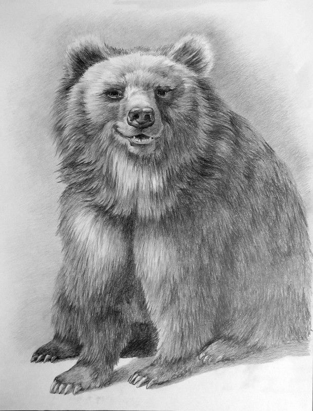 Картинки сказочного медведя для детей (13)