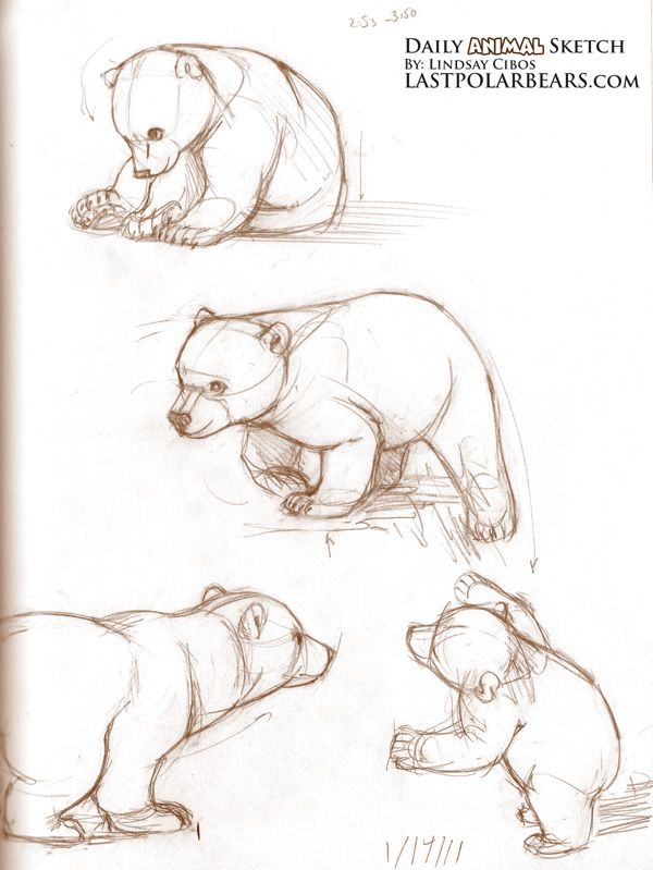 Картинки сказочного медведя для детей (18)