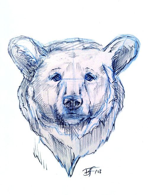 Картинки сказочного медведя для детей (21)