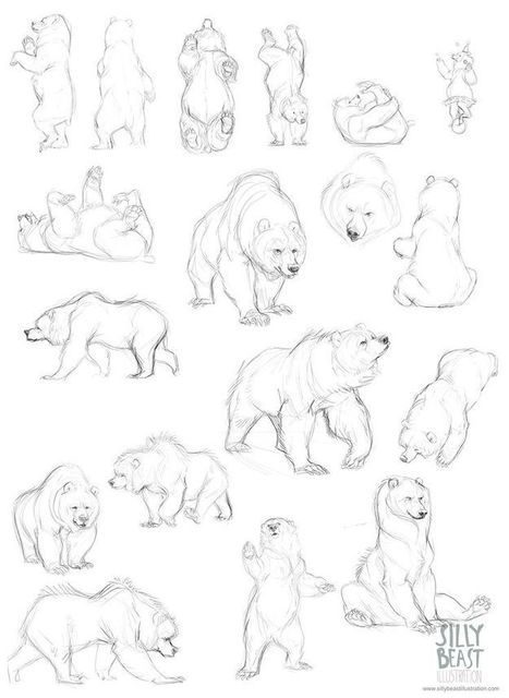 Картинки сказочного медведя для детей (25)