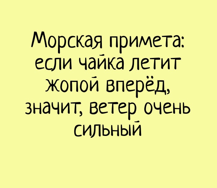 Смешные картинки про ветер с надписями