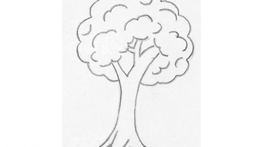 Картинка ствол дерева для детей (5)