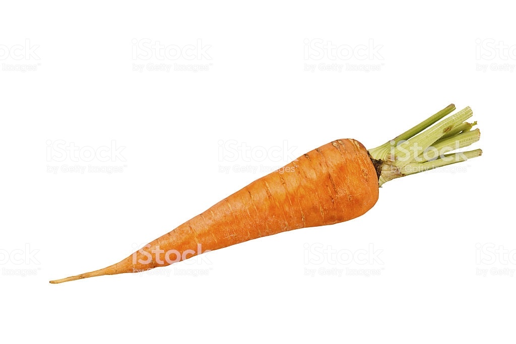 Морковь на белом фоне картинка (11)