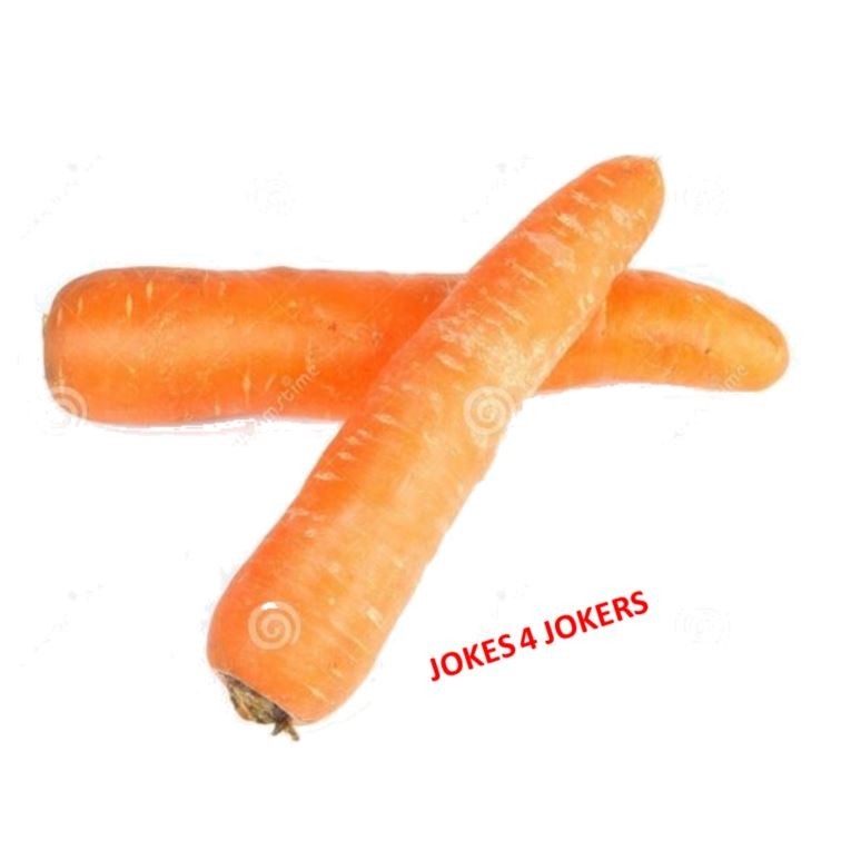 Морковь на белом фоне картинка (15)