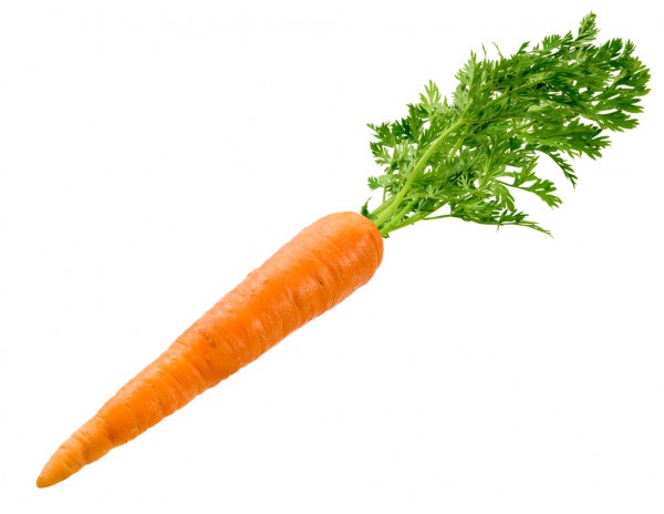 Морковь на белом фоне картинка (16)