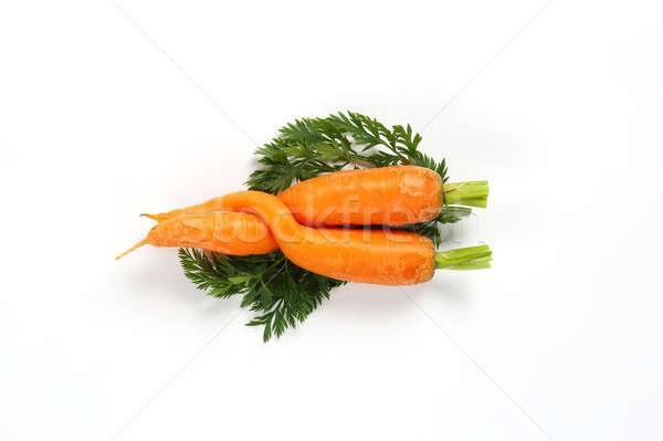 Морковь на белом фоне картинка (4)