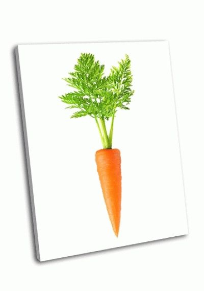 Морковь на белом фоне картинка (5)
