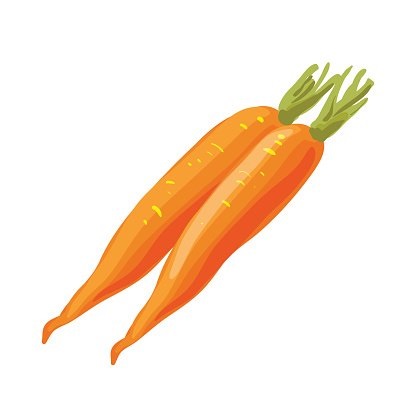Морковь на белом фоне картинка (8)